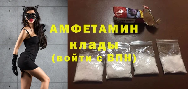 твердый Ельня