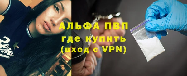твердый Ельня