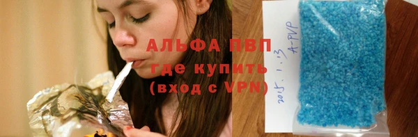 прущая мука Дмитриев