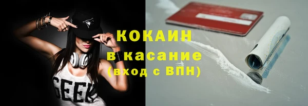 твердый Ельня
