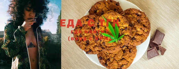 твердый Ельня