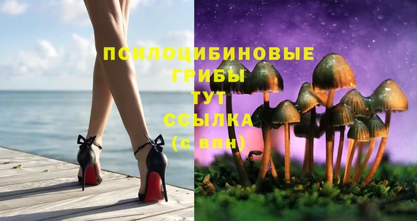 твердый Ельня