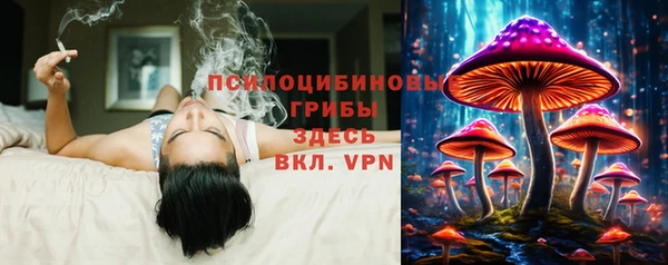 твердый Ельня
