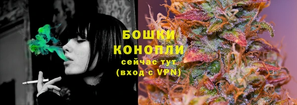 твердый Ельня