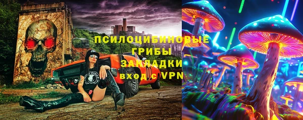 твердый Ельня