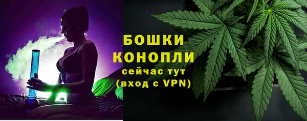 твердый Ельня